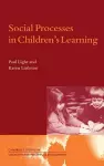 Social Processes in Children's Learning cover