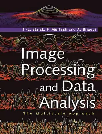 Image Processing and Data Analysis cover