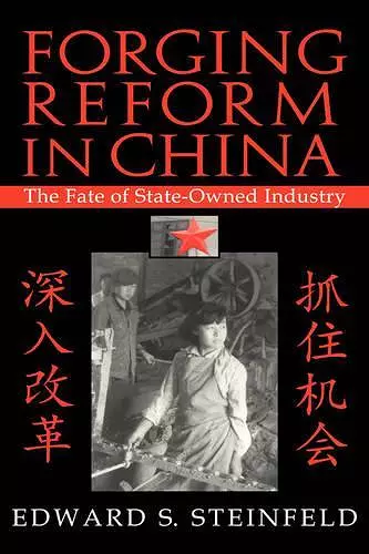 Forging Reform in China cover