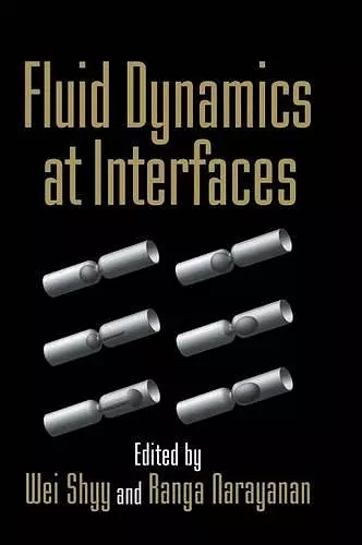 Fluid Dynamics at Interfaces cover