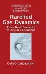 Rarefied Gas Dynamics cover