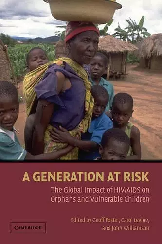 A Generation at Risk cover