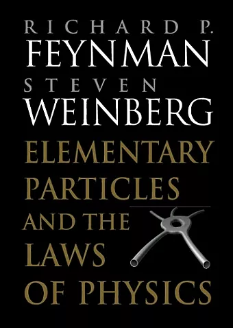 Elementary Particles and the Laws of Physics cover