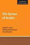 The Syntax of Arabic cover