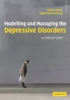 Modelling and Managing the Depressive Disorders cover