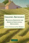 Creating Abundance cover