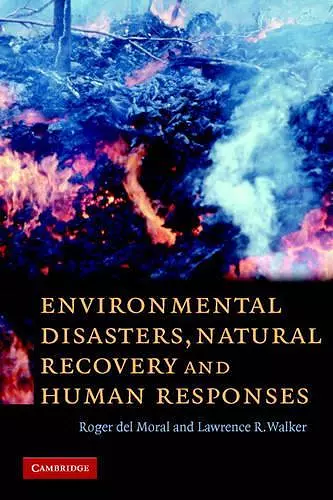 Environmental Disasters, Natural Recovery and Human Responses cover