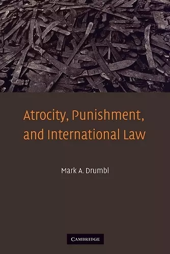 Atrocity, Punishment, and International Law cover