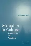 Metaphor in Culture cover