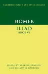 Homer: Iliad Book VI cover