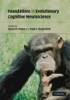 Foundations in Evolutionary Cognitive Neuroscience cover