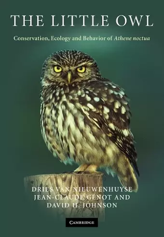 The Little Owl cover