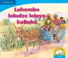 Luhambo loludze loluya kuBabe (Siswati) cover