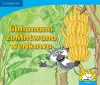 libhanana zoMntwana weNkawu (IsiXhosa) cover