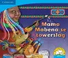 Mama Mabena se towerslag (Afrikaans) cover