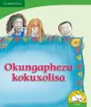 Okungaphezu kokuxolisa (IsiZulu) cover
