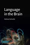 Language in the Brain cover