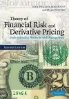 Theory of Financial Risk and Derivative Pricing cover