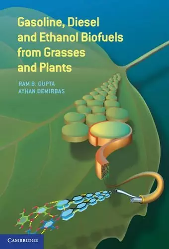 Gasoline, Diesel, and Ethanol Biofuels from Grasses and Plants cover