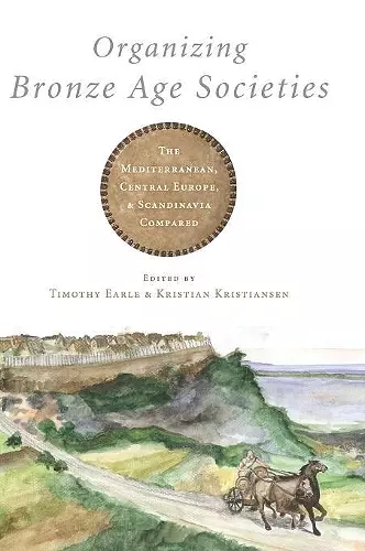 Organizing Bronze Age Societies cover