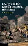 Energy and the English Industrial Revolution cover