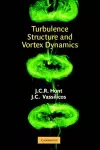 Turbulence Structure and Vortex Dynamics cover