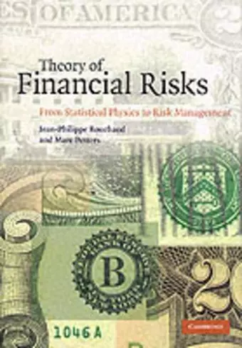 Theory of Financial Risks cover