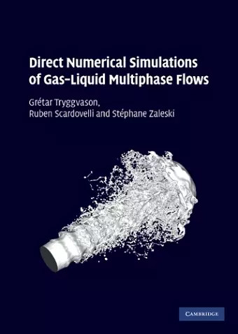 Direct Numerical Simulations of Gas–Liquid Multiphase Flows cover