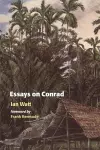 Essays on Conrad cover