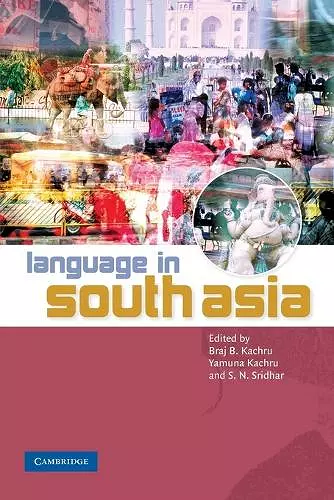 Language in South Asia cover