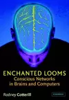 Enchanted Looms cover