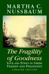 The Fragility of Goodness cover