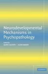 Neurodevelopmental Mechanisms in Psychopathology cover