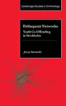 Delinquent Networks cover