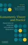 Econometric Theory and Practice cover