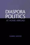 Diaspora Politics cover