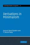 Derivations in Minimalism cover