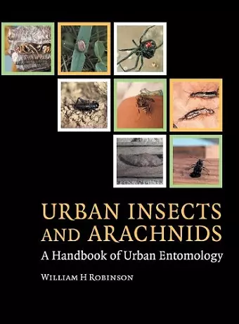 Urban Insects and Arachnids cover