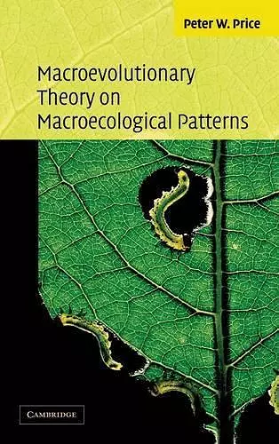 Macroevolutionary Theory on Macroecological Patterns cover