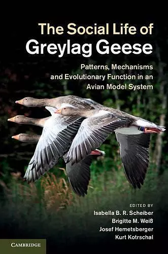 The Social Life of Greylag Geese cover