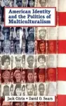 American Identity and the Politics of Multiculturalism cover