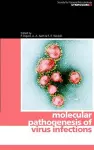 Molecular Pathogenesis of Virus Infections cover