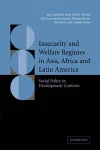 Insecurity and Welfare Regimes in Asia, Africa and Latin America cover