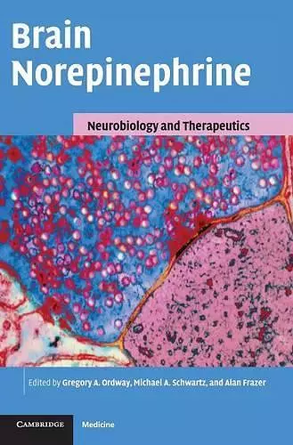 Brain Norepinephrine cover
