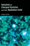 Dynamics of Charged Particles and their Radiation Field cover