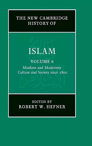 The New Cambridge History of Islam cover