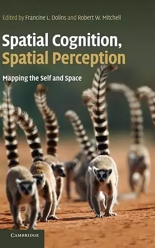 Spatial Cognition, Spatial Perception cover