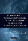 Biopsychosocial Regulatory Processes in the Development of Childhood Behavioral Problems cover