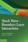 Shock Wave-Boundary-Layer Interactions cover