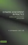 Dynamic Assessment in Practice cover